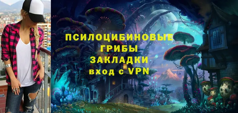 Галлюциногенные грибы Magic Shrooms  Гаврилов Посад 